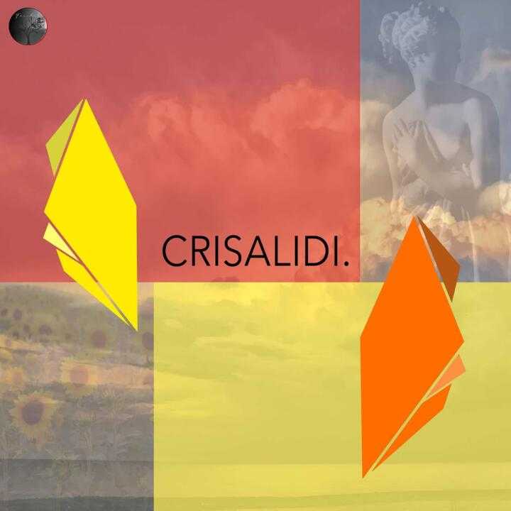 Crisalidi