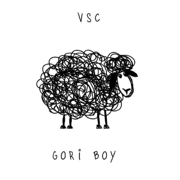VSC è il nuovo singolo di GORI BOY