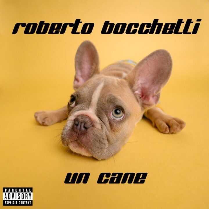 Un Cane è il nuovo singolo di Roberto Bocchetti