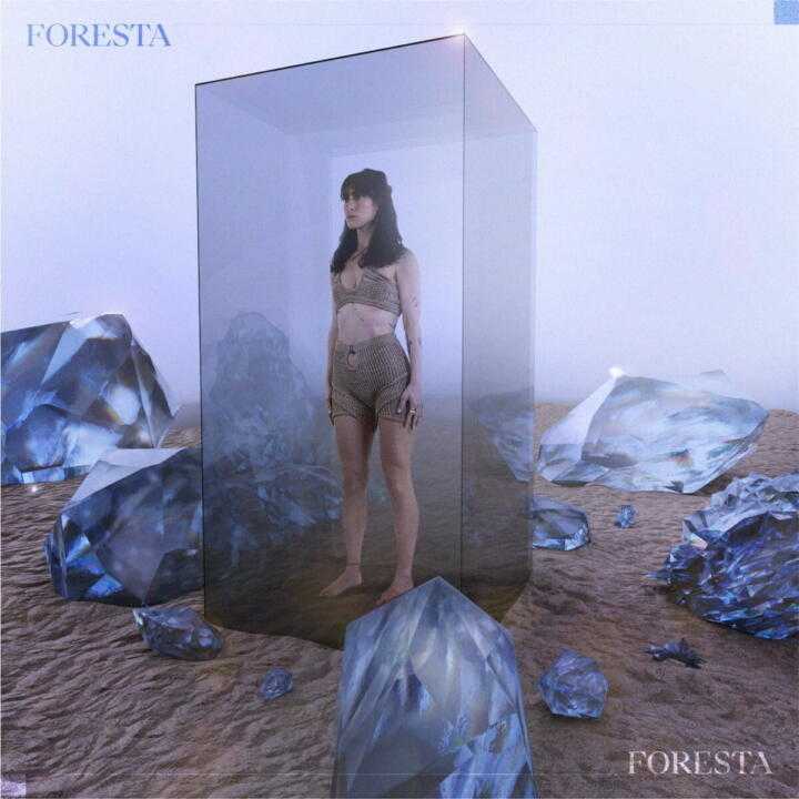 FLAMINIA: il nuovo singolo s'intitola FORESTA