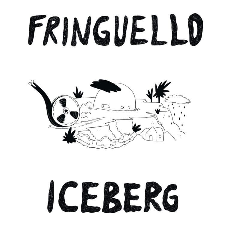 Fringuello Iceberg