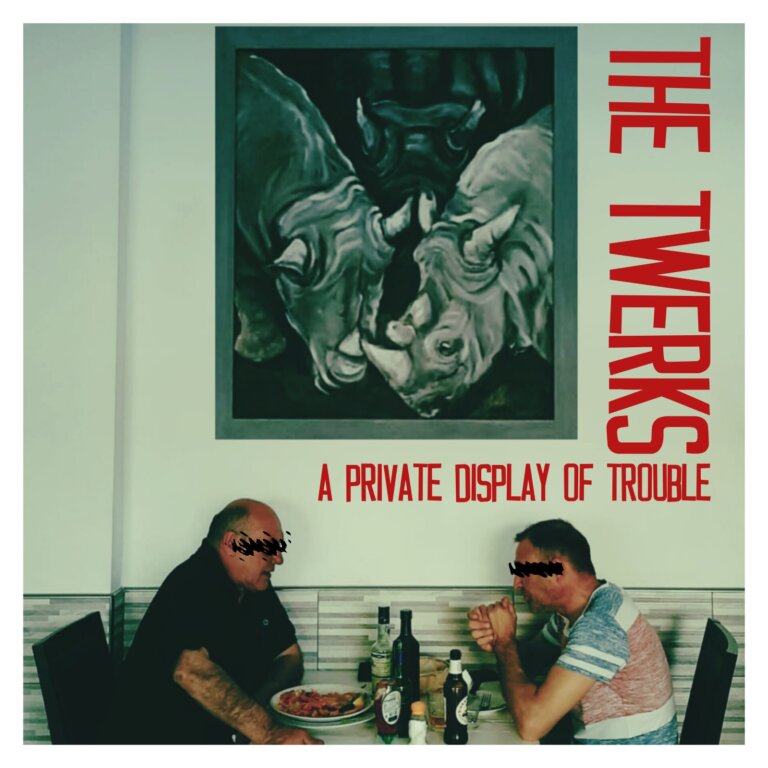 The Twerks fuori con l'Album A private display of trouble