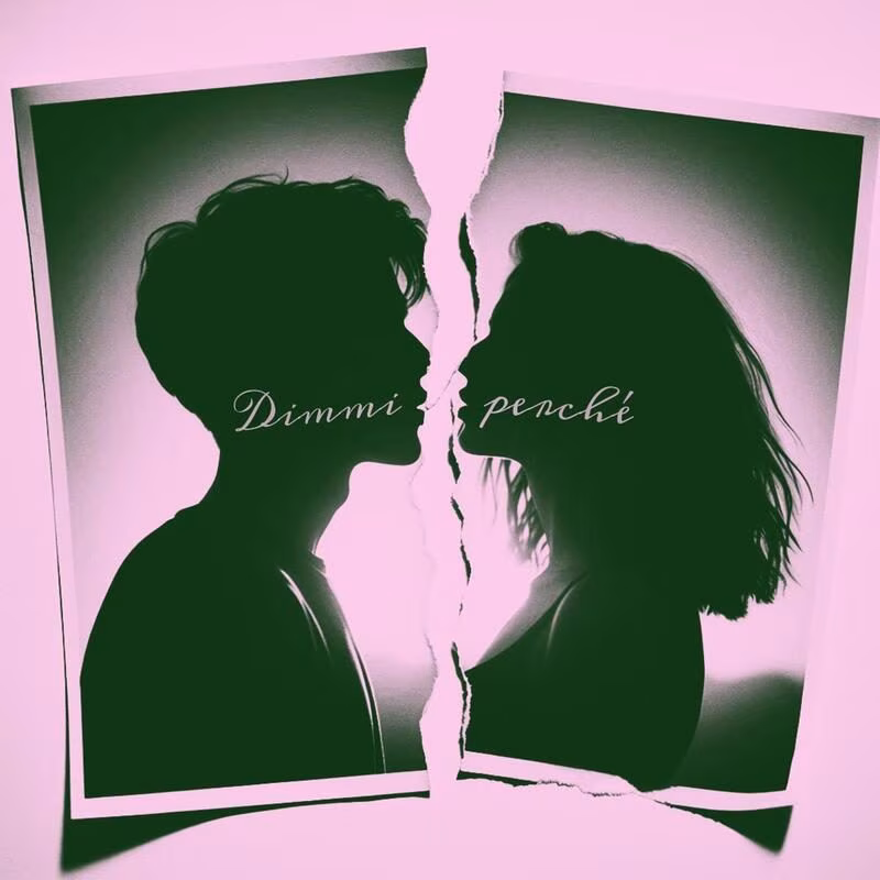 Spectrum vates dimmi perché cover