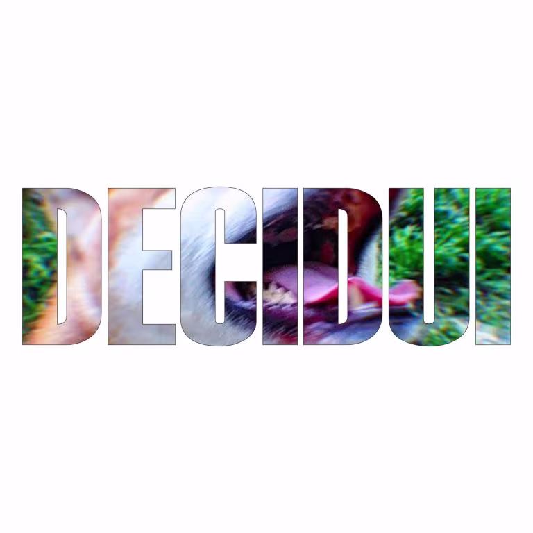 Decidui
