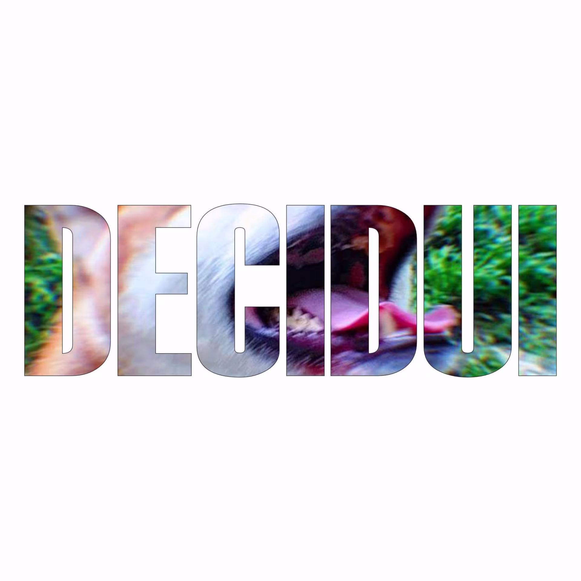 Decidui