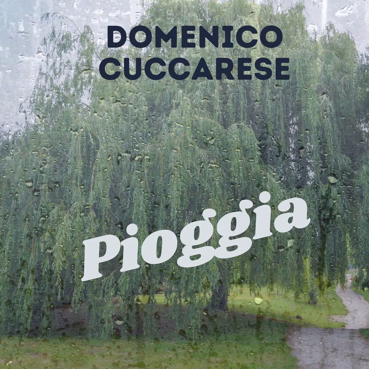 Domenico Cuccarese Pioggia Cover