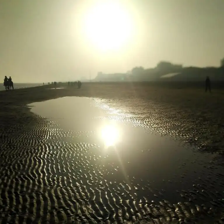 Copertina 2026 01 03T102333.278